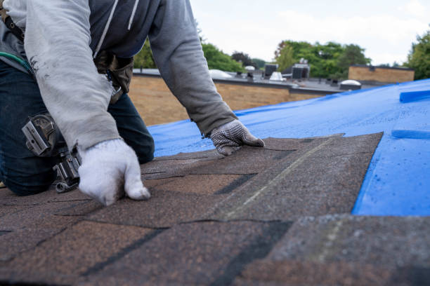 Residential Roof Replacement in Joseph City, AZ