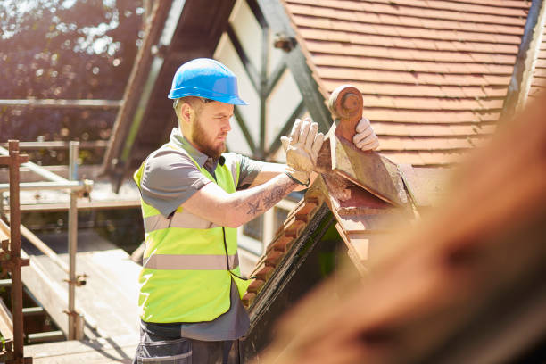 Best Metal Roofing Contractor  in Joseph City, AZ